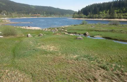 Ferienwohnung Am Rebberg - Photo 19