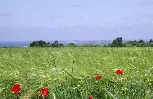 Stone House Near Rosa Granite Coast - Foto 15