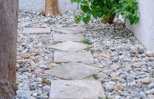 Sunrise Stef - Foto 16