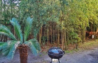 Massive 9BDR Courtyard Estate Near Forsyth Park - Foto 53