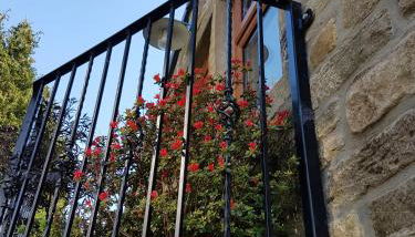 Stone Eater - Photo 4