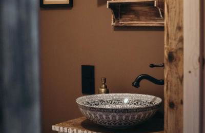 Mech i brzoza - Foto 13