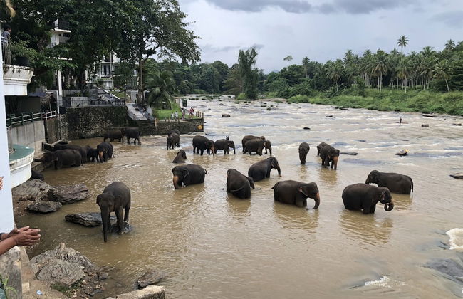 Natures Bliss Holidays - Photo 79