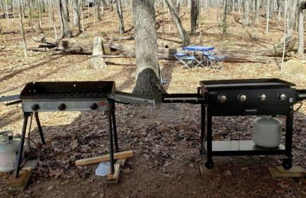 Radiant Forest Vacation Rental Haven Near Piney River, Tennessee - Foto 80