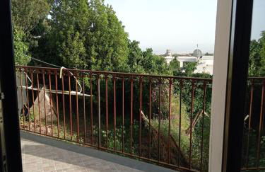 Ai 4 gatti - Foto 25