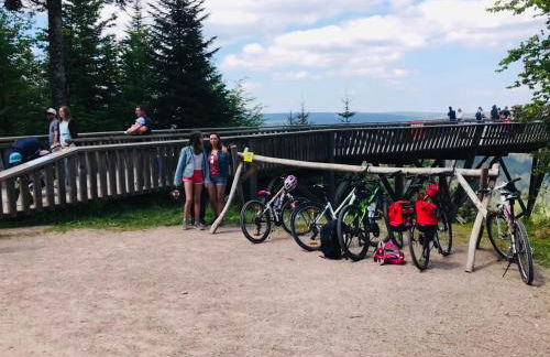 Haus Jenni im Schwarzwald, 3,5-Zimmer, große Terrasse - Foto 64