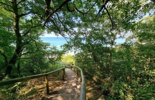 Ferienwohnung Koningk - Foto 14