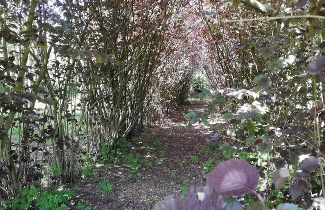 Beautiful Villa for Groups With Swimming Pool, Sauna and Wifi - Foto 37