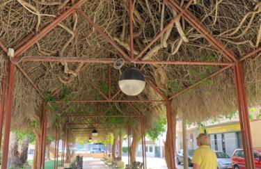 Casa Flamencos - Photo 32