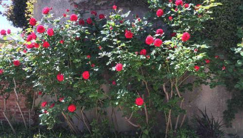 Maison individuelle dans ancienne ecurie - Foto 5