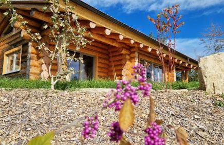 Franz Josefs Chalets - Foto 43