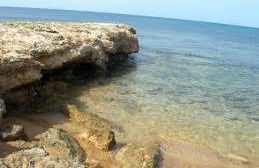 La scogliera - Foto 35