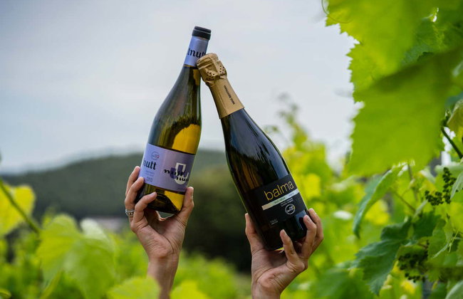 Visita a la bodega Mas Bertran - Foto 7