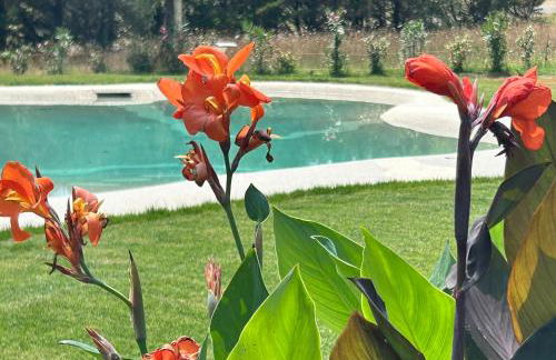 Agriturismo San Ansanino- Piscina con spiaggia-Aria condizionata - Foto 47