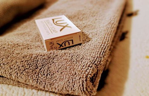 The Beehive - Self catering in the heart of the Forest of Dean - Photo 7