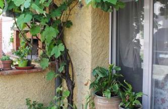 La casina di mezzo - Tiny House - Foto 32