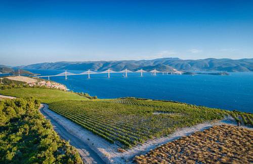 Apartments Mediteraneo - Foto 13