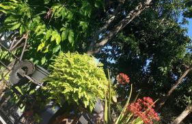 house in the Garden - Foto 9