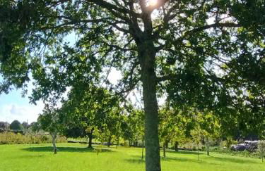 Casa Bartulo - Foto 34