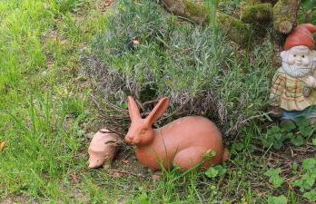 Sonnenhaus Leo Hutthurm - Foto 16