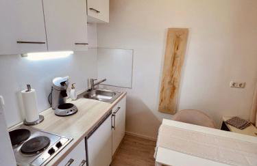 Penthouse studio apartment with terrace near Audi - Photo 12