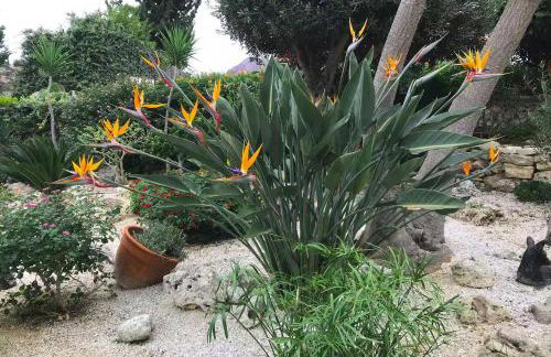 Bay Tree Villa - Main House Almyrida - Foto 30