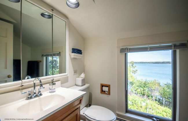 Puffin Rock - New 2022! - Photo 19