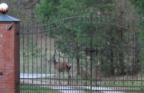 Pod Górą Turma - Photo 20