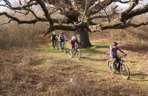 Holiday House Serenity - Foto 65