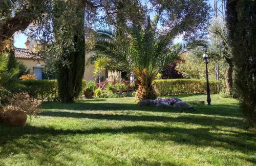 Andalusian experience - Foto 61