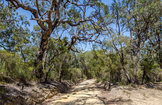 Big Yango House - Foto 11