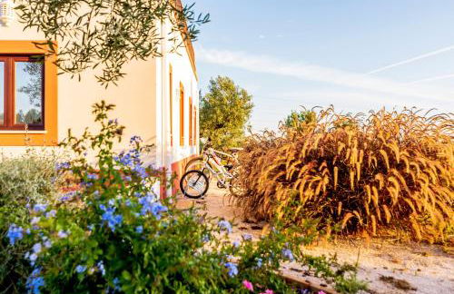 Quinta da Baleeira - Foto 60