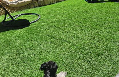 Garden's House Pozar in Aridaia - Photo 37