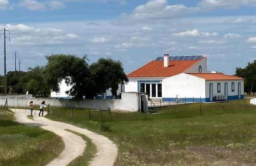 Monte Azul, Um Oásis No Alentejo - Foto 21