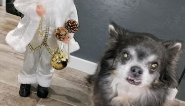 La petite maison de poncho - Foto 5