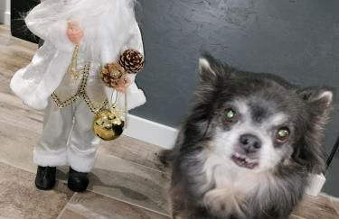 La petite maison de poncho - Foto 5