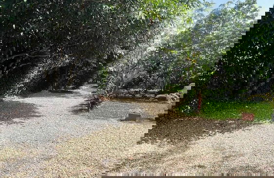 Luxury Glamping in Ruztico - Photo 27