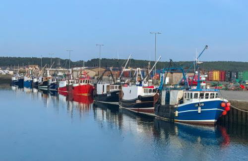 Emerald Cottage - Foto 19