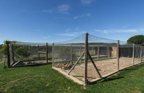 Mas El Brugué - Foto 32