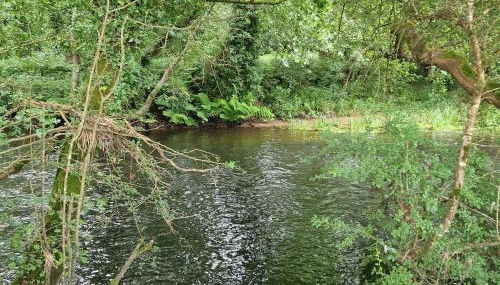 Casa Horreo lar san Adrián - Foto 3
