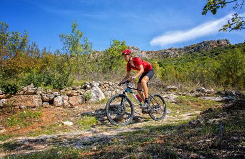 Apartments Brkić, Lozovac Krka NP with Pool - Foto 68