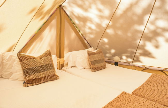 DOMA Portugal - Foto 15