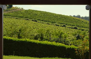 Vigna Dell'Acqua - Photo 14