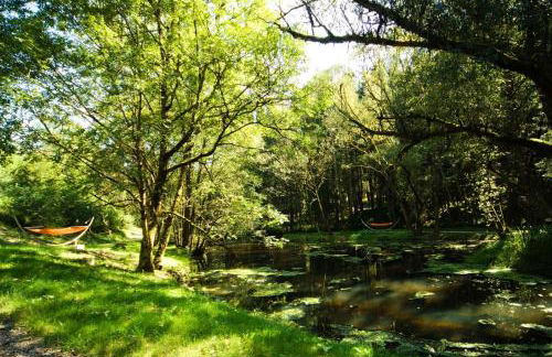 Forstgut - Premium Waldchalets und Lodge Suiten - Photo 66