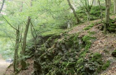 Villa Waldallee - Ferienwohnung (holidayhome) 84qm - Foto 41