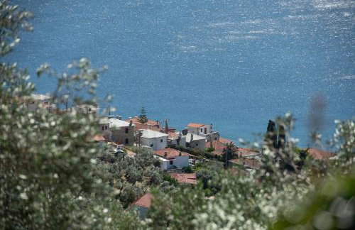 Karavia Lux Inn - Photo 52