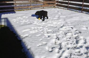 Appartamento Alba - Residence Montesole - Foto 8