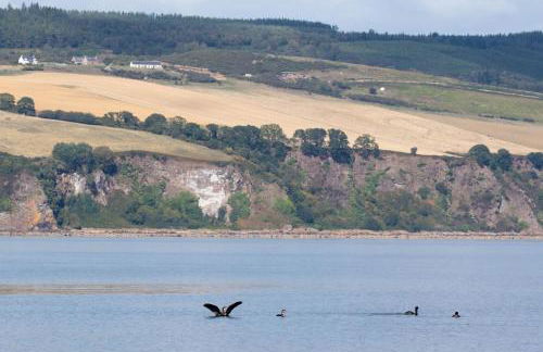 Dolphin View Hillockhead - Foto 30