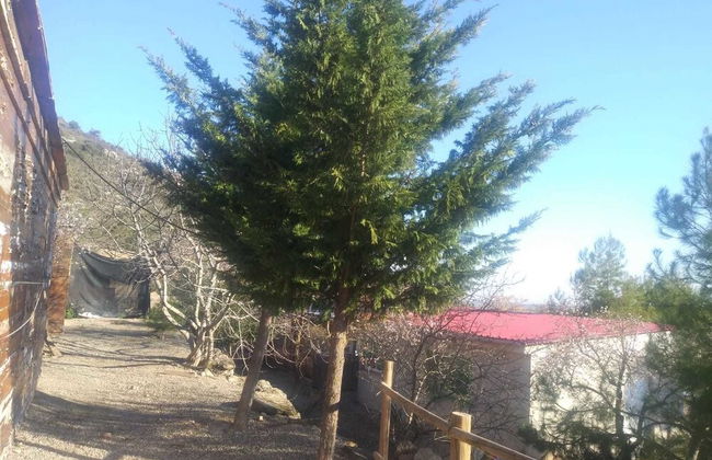 Espai Natural La Comanglora - Foto 33