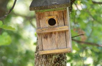 Palmira Apartments - Foto 53